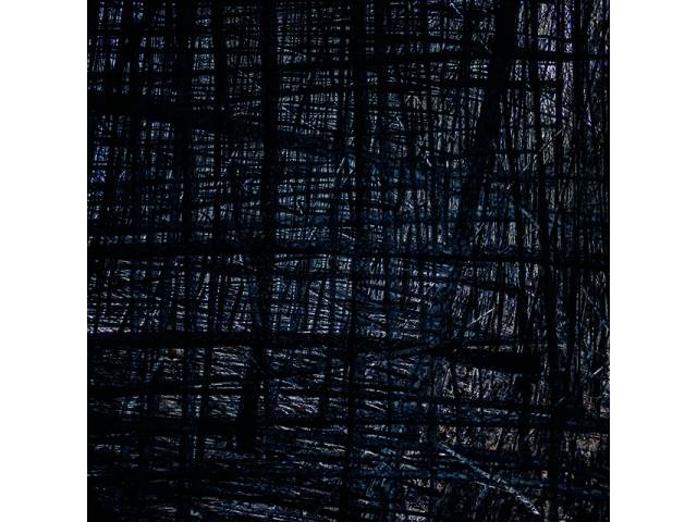 Pedro Lobo fotografia jato de tinta sobre papel, 50 x 50 cm, edição 1/5 "Sem título (3135)" 2009