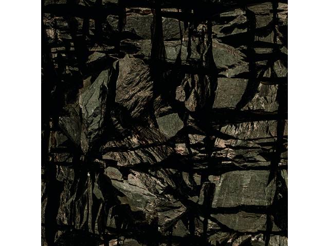 Pedro Lobo fotografia jato de tinta sobre papel, 50 x 50 cm, edição 3/5 "Sem título (4855)" 2009