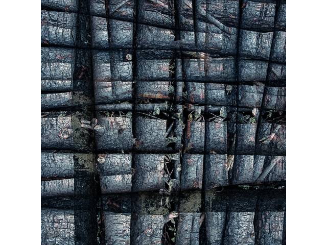 Pedro Lobo fotografia jato de tinta sobre papel, 50 x 50 cm, edição 2/5 "Sem título (3398)" 2009