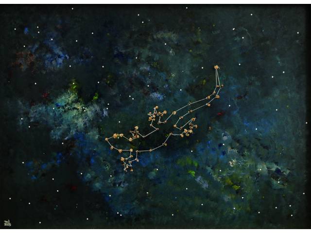 Totonho Laprovitera acrílica sobre madeira com aplicação de espinhos de mandacaru, 45 x 60,5 cm "Constelação Calango Cego" 2015