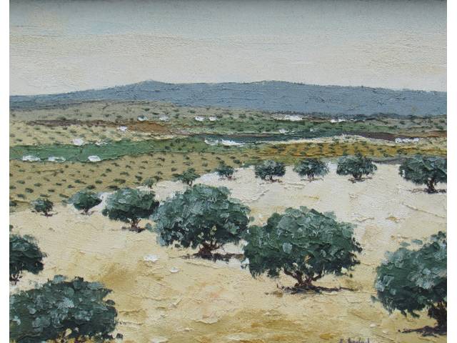 Eduard Malvehy (1949, Barcelona) O.S.M. - 18,5 x 32 cm, “Campode oliveira”, ass. CID