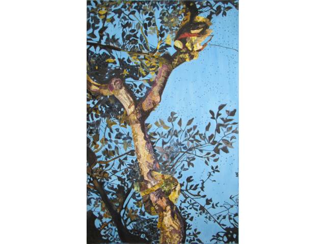 óleo sobre tela 95 x 59 cm "Bicho Preguiça na árvore" não assinada