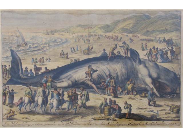 William Vander Gouwen Esc. Holandesa Impresso - 22,5x34 cm, “Baleia encalhada”, Não ass.