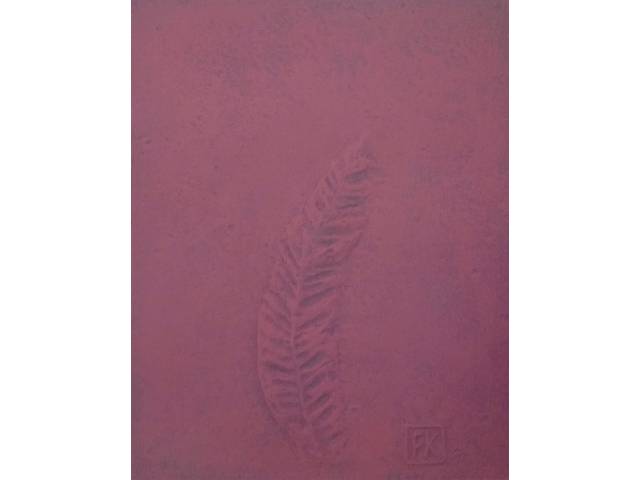 Frans Krajcberg relevo sobre papel moldado e timbrado 46 x 35 cm "Folha" ass. CID e CIE 1988 t.1/1