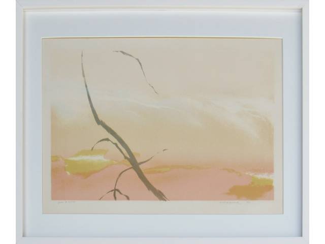 Fayga Ostrower litografia 49 x 72 cm "Sem Título" ass. CID tiragem P.A.