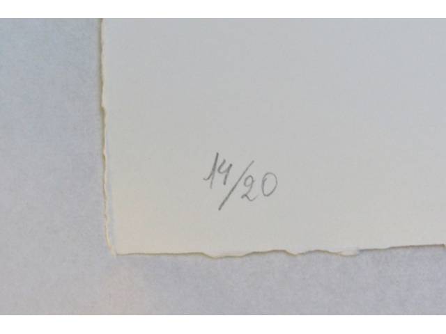 LOTE 030