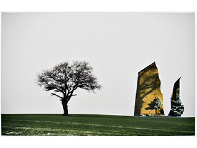 Julia Kater recorte fotográfico sobre papel algodão 40 x 60 cm "Sem Título da série Diálogos e Murmúrios" ass. verso 2016 t. 45/70 - sem moldura,  acompanha certificado do Instituto Adelina