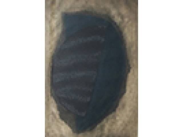 Arthur Luiz Piza litogravura 90 x 62 cm “Sem Título” ass. inferior direito E/A