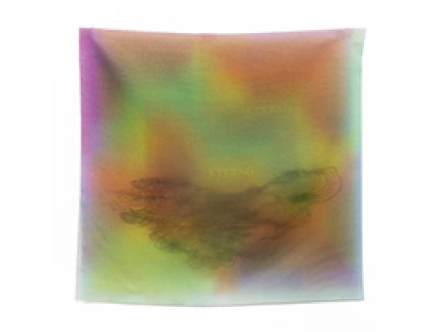 Albano Afonso e Sandra Cinto impressão sobre voil 50 x 50 cm "Eterno" não assinada  2018 tiragem de 92 - sem moldura, acompanha certificado do Instituto Adelina