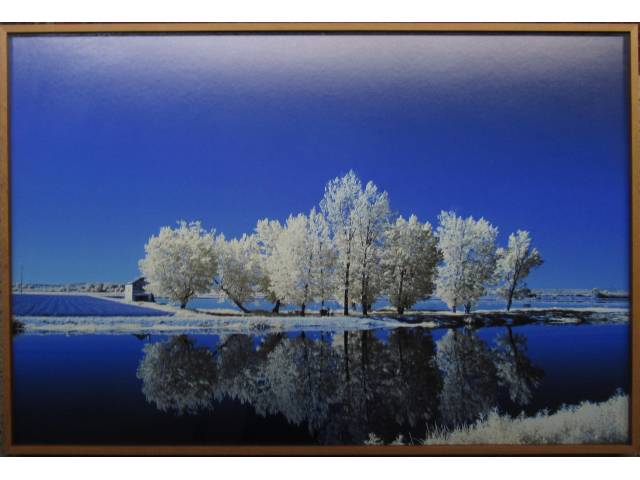 Renan Cepeda fotografia 80 x 120 cm  "OLMI 1 Toscana " ass. verso  t . 3/ 5