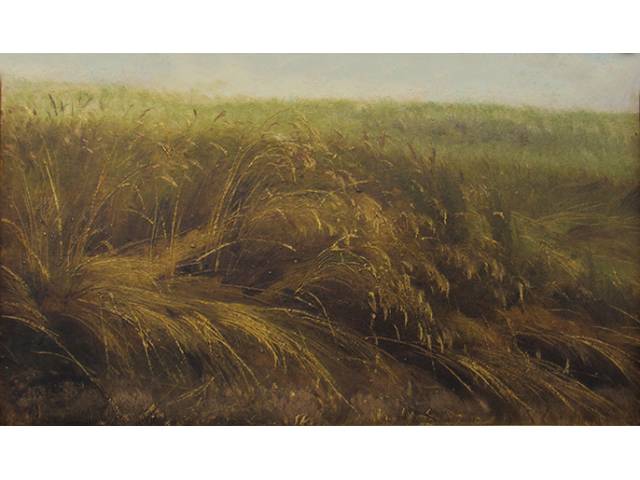 O.S.M - 19 x 32 cm, “Campo de trigo”, ass. CIE não id. - artista não identificado