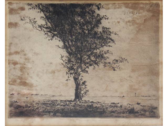 Leopold Scheidl (Japão, 1904-1974) Gravura - 14 x 18,5 cm “Árvore”, ass. CID