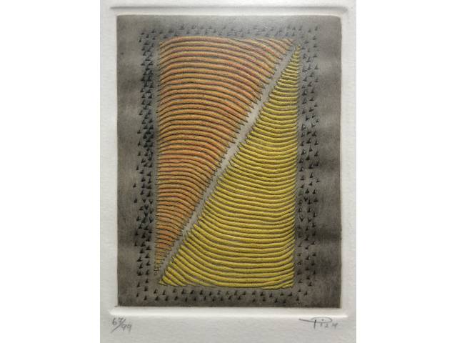 Arthur Luiz Piza gravura em metal 32 x 24 cm "Sem Título" assinada CID tiragem 67/99