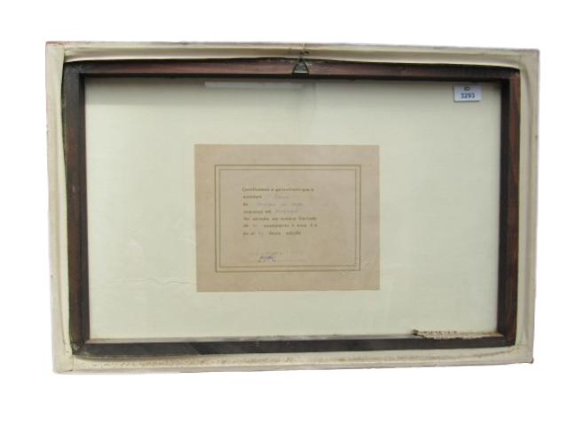 LOTE 008