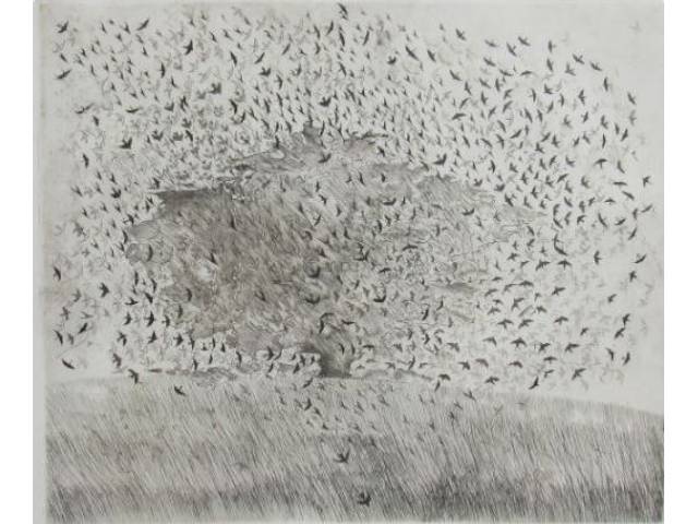 Evandro Carlos Jardim gravura 50 x 60 cm intitulada "Sobre o voo dos pássaros comuns" assinada CID e datada 04 de fevereiro de 1981 tiragem 47/50