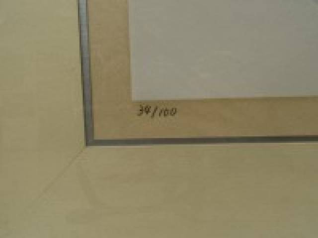 LOTE 003