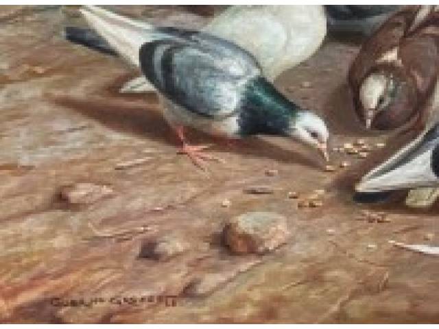 Guerino Grosso oleo sobre tela 60 x  x100 cm "Figura de passáros e tachos " ass CIE datado 1968