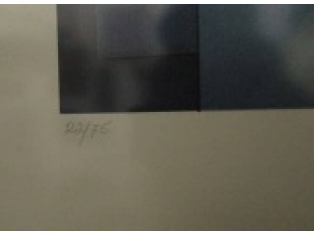 LOTE 006