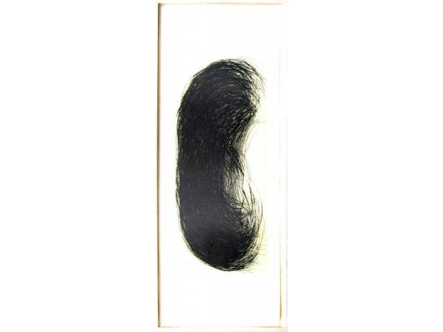 LOTE 016