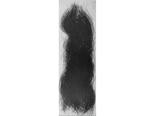 Carmela Gross gravura em metal 100 x 40 cm "Sem título" ass. CID 1995 t. 3/20 Com cachê Galeria Raquel Arnaud