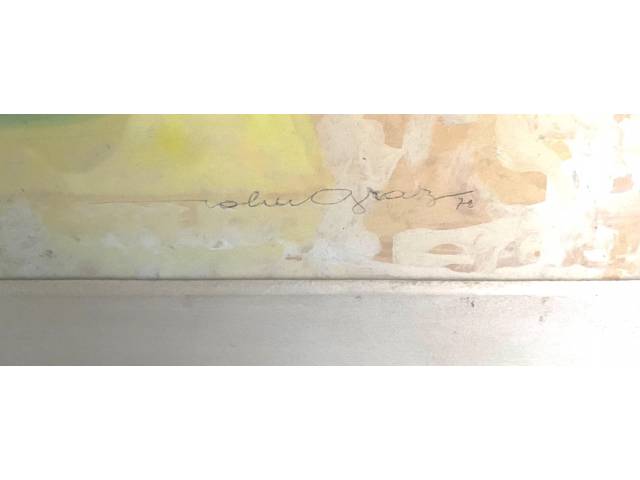 LOTE 076