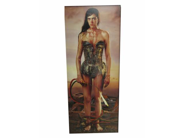 Marcos Lopez ( Argentina), impressora a jato intitulado"La reina de la chatarra" 170 x 70 cm datado 2007 ed 2/7. Obra participou SP Arte de 2011 Galeria Fernando Pradilla