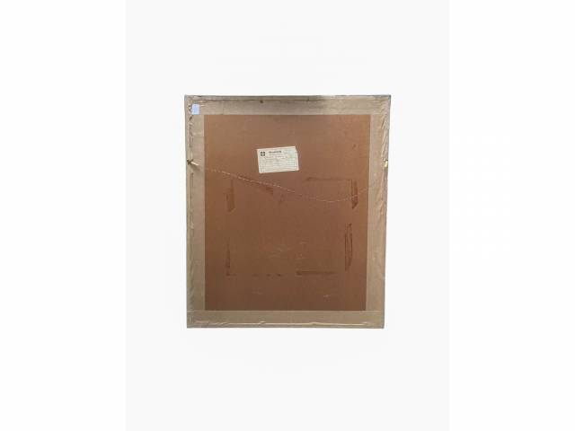 LOTE 001