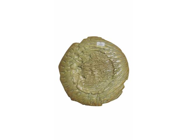 LOTE 024