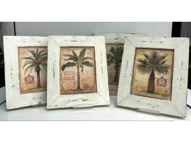 Conjunto de 4 quadros decorativos com moldura de madeira e imagens de coqueiros e palmeiras. Med. 30 x 26cm cada