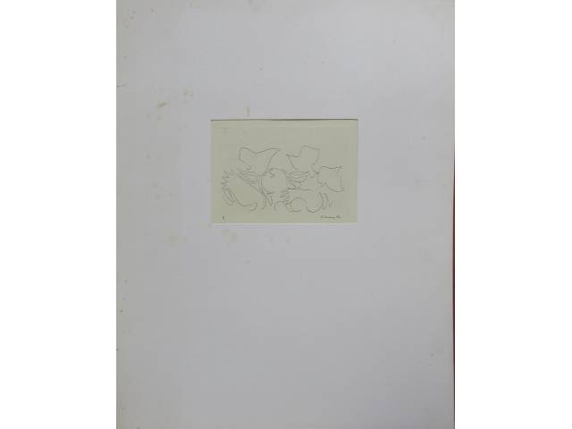 LOTE 005