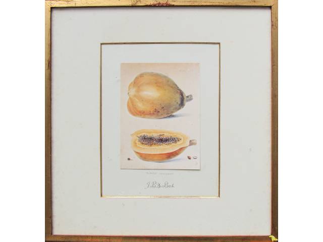 Conjunto de 9 (nove) impressos sobre cartão do artista J. B. De Bret( Jean Baptiste Debret) 34 x 26cm "Papaya/Grumixama-Rose Apple-Araça do Campo/Coffee/Mango/Anda-Açu/Guava/Cambucá/Maracujá/Coco-cabeludo".