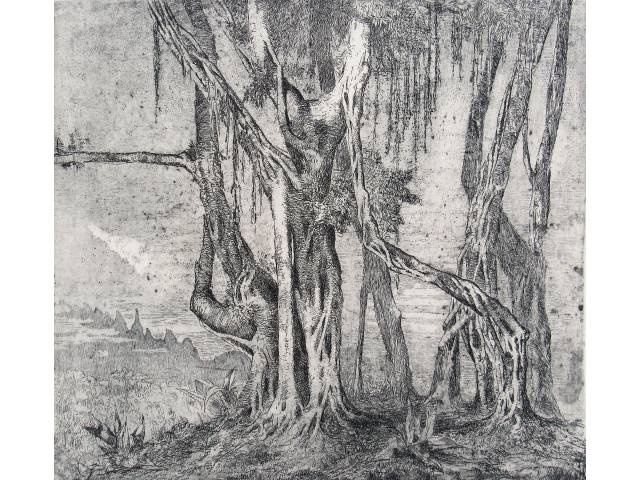 Carlos Oswald gravura em metal 39 x 53cm "Paisagem Silvestre" ass. CIE. Sem moldura