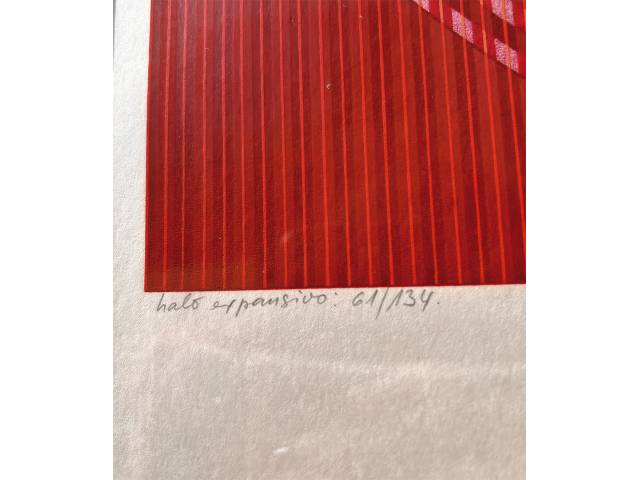 Lote 006 — Dionísio Del Santo  Del Souto gravura 60x50cm " halo expansivo 61/134'' da  serie -Permuta IX 3/3 ass. CID datada1973.