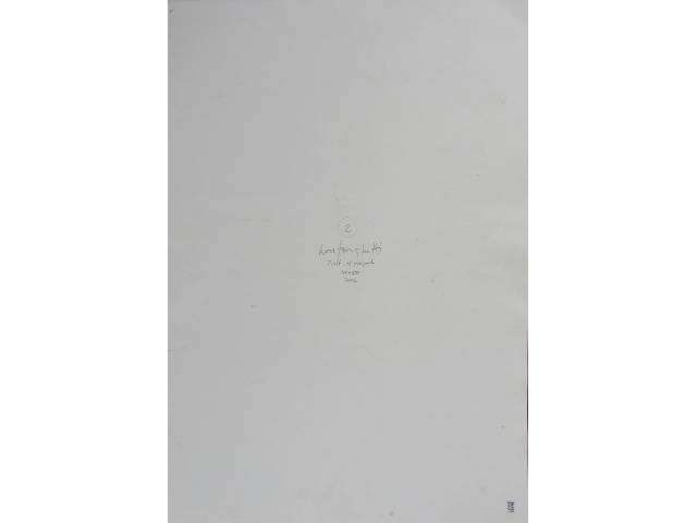 LOTE 081