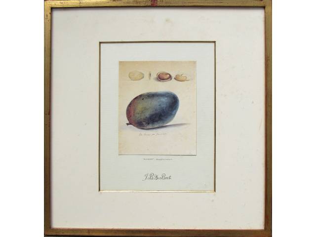 LOTE 087